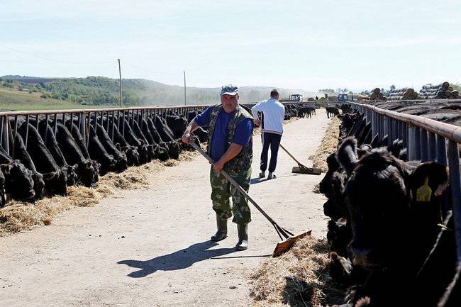 Фермеры Краснодарского края стали чаще вступать в кооперативы