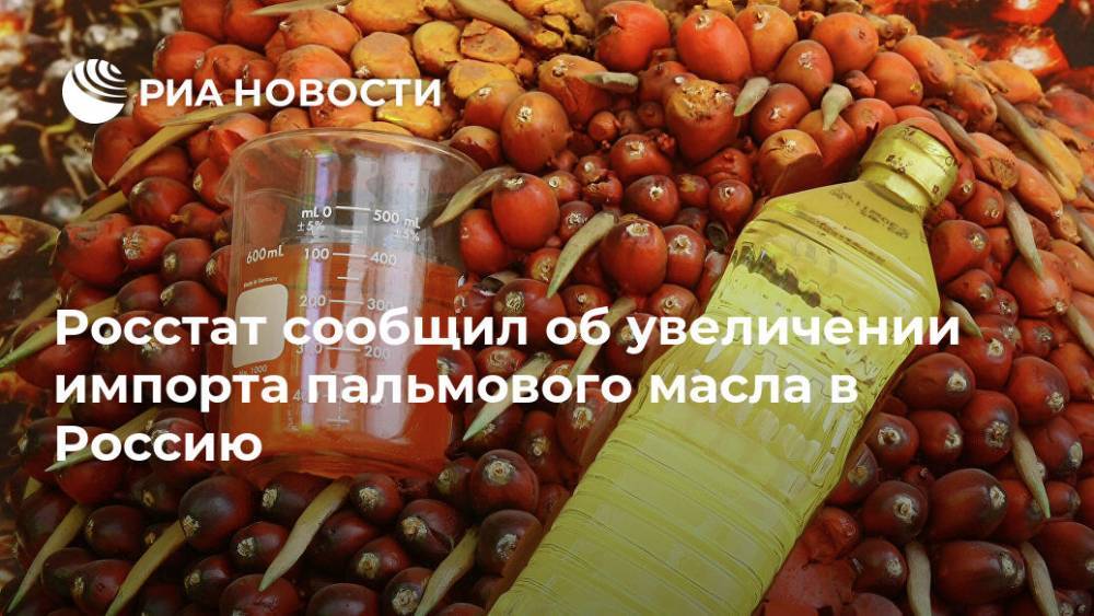 Росстат сообщил об увеличении импорта пальмового масла в Россию