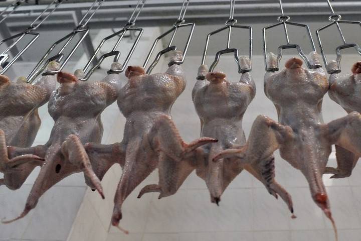 Грузия разрешила поставки мяса трем российским компаниям
