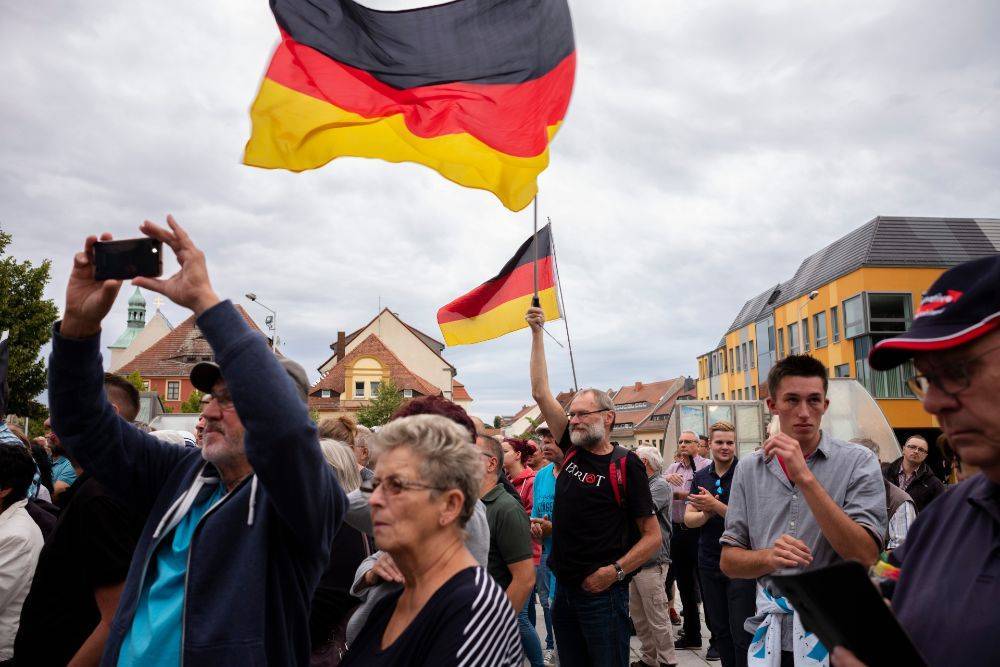 Мэр немецкого города Арнсдорф решила уйти в отставку после угроз ультраправых