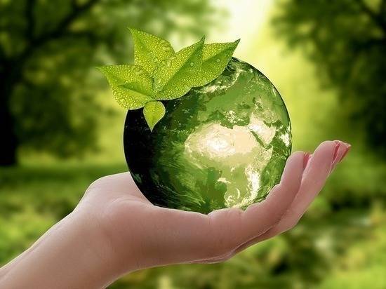 «Роснефть» получила премию «Коммерсантъ Инициативы» за экологический проект