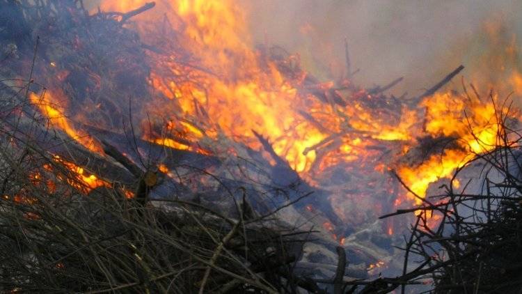 Режим повышенной готовности объявили в Анапе из-за природного пожара