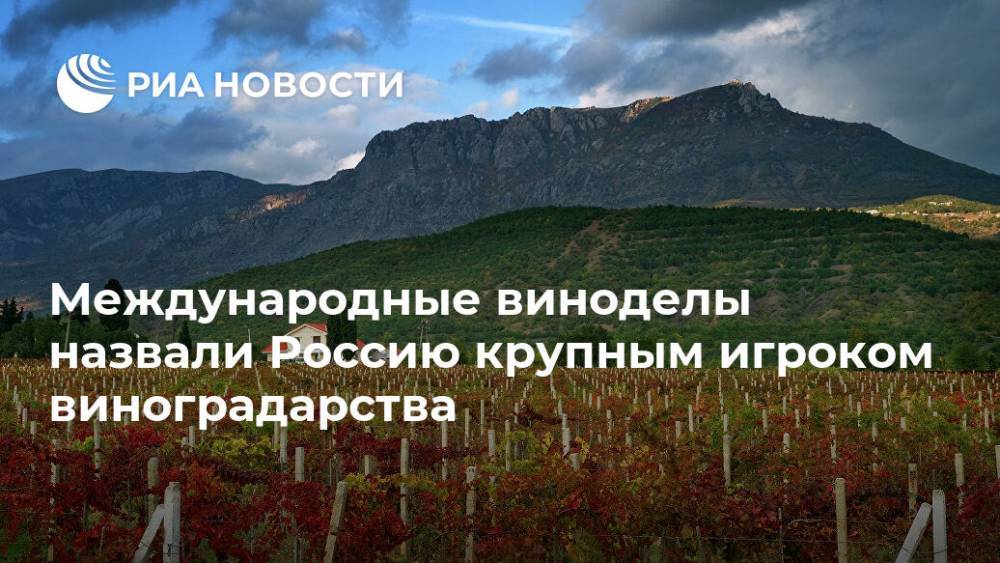 Международные виноделы назвали Россию крупным игроком виноградарства