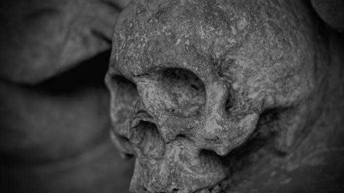 В Колпино обнаружили скелет младенца