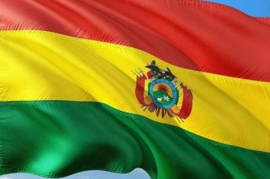 Парламент Боливии принял законопроект о проведении новых выборов президента