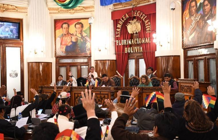 Парламент Боливии согласовал новые всеобщие выборы в стране