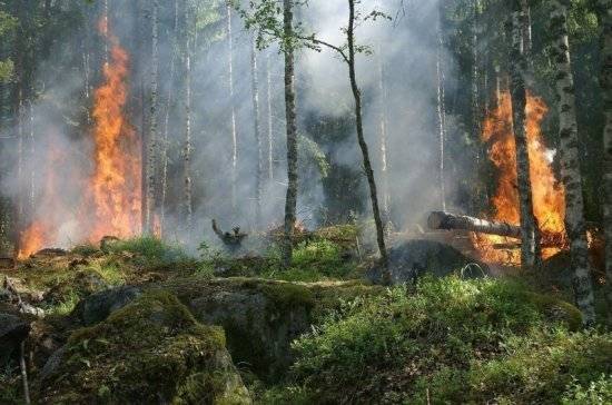 В Анапе ликвидировали крупный природный пожар