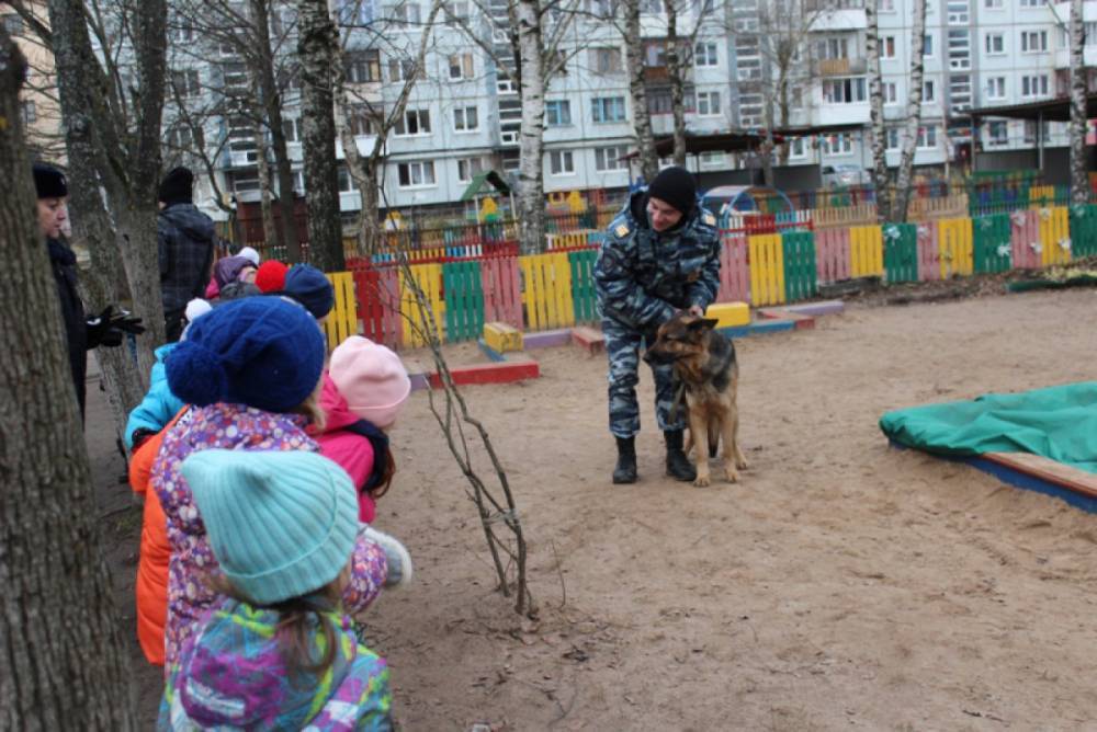 Новгородских дошколят научили безопасно переходить дорогу