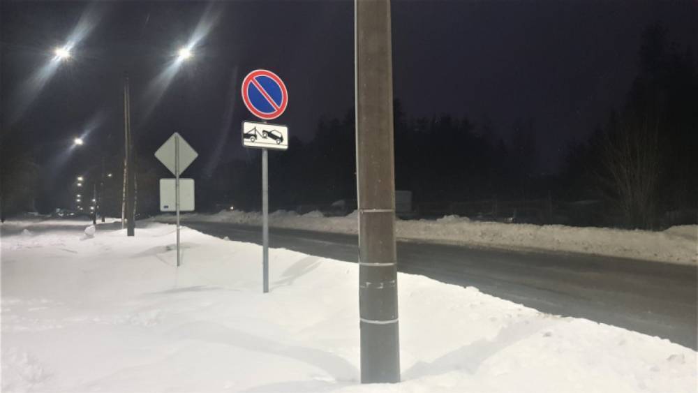 Активисты ОНФ Карелии просят власти муниципалитетов обезопасить дороги к школам