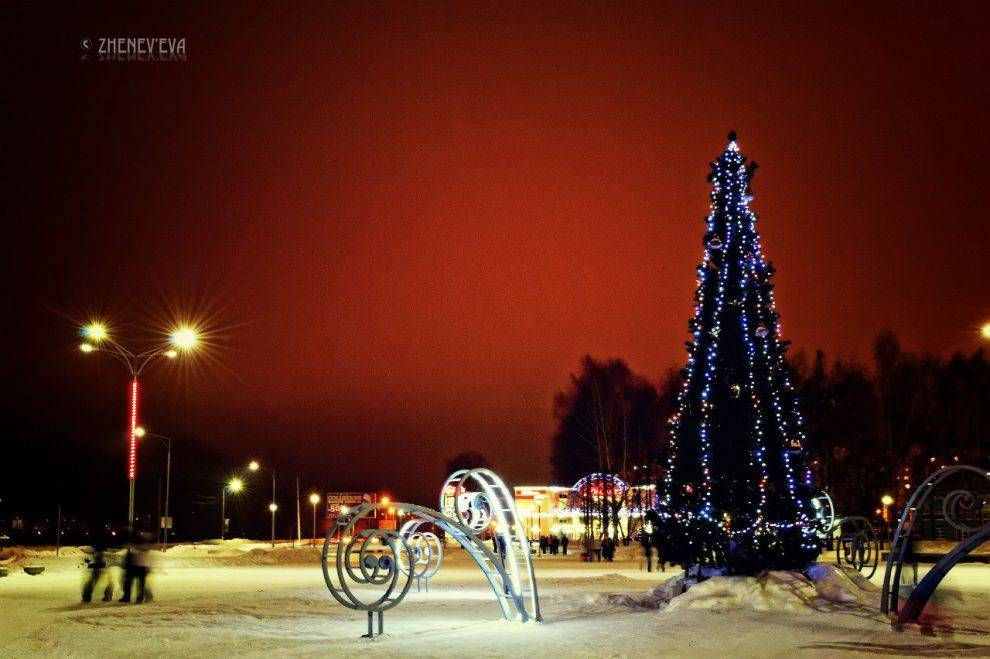 Главную новогоднюю елку Глазова установят на площади Свободы