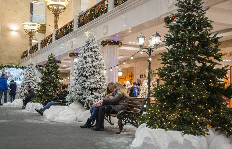 Названа средняя цена новогодней ёлки, которую выбирают россияне