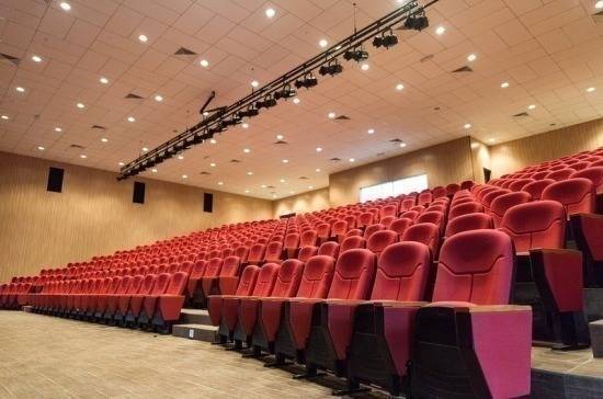 В Госдуме предложили ввести льготные билеты в театр для многодетных семей