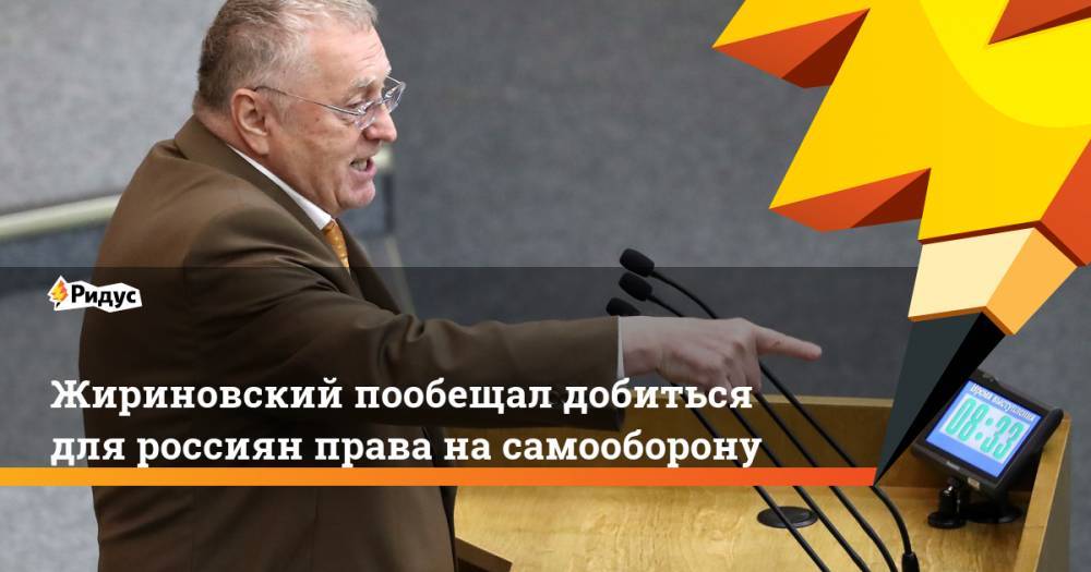 Жириновский пообещал добиться для россиян права на самооборону