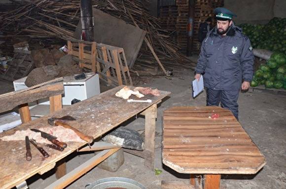 В Кургане в одном из складов на Омской обнаружили нелегальный убойный пункт животных