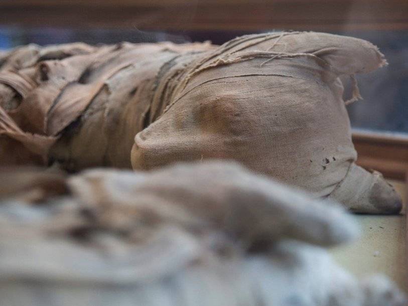 В Египте нашли львиные мумии