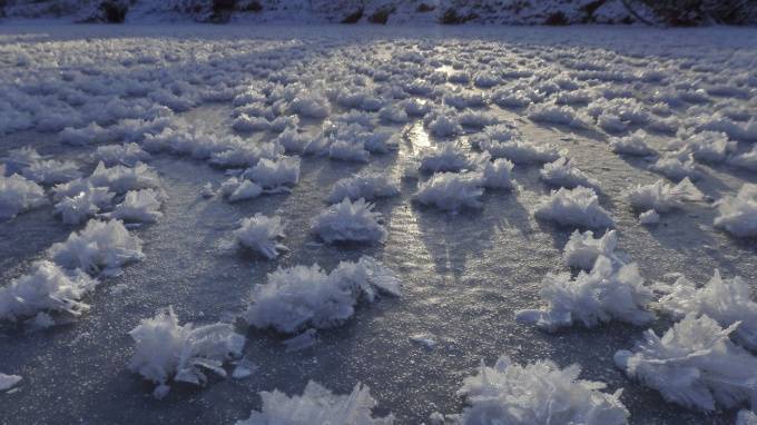 На российских озерах распустились "ледяные цветы". Водоемы покрылись редкими кристаллами
