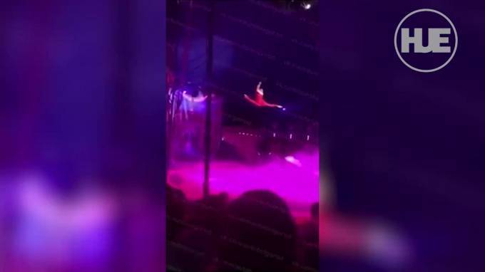 Гимнастка петербургского цирка сорвалась с большой высоты во время выступления