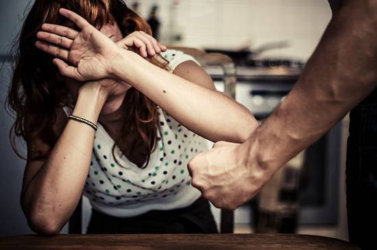Закон о профилактике домашнего насилия внесут в Госдуму в декабре