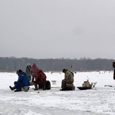 В Ульяновской области спасли 64 рыбака с отколовшейся льдины на реке Большой Черемшан