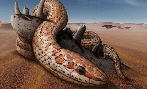 Обнаружены останки древней змеи с задними лапами