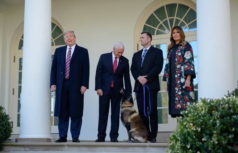 Трамп принял в Белом доме собаку, участвовавшую в ликвидации аль-Багдади
