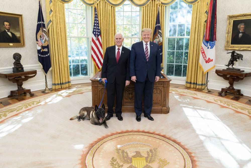 Трамп наградил медалью пса, участвовавшего в ликвидации главы ИГ*