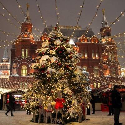 Более 300 новогодних елей установят в центре Москвы