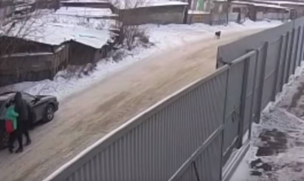 Появилось видео момента похищения девочки в Иркутске