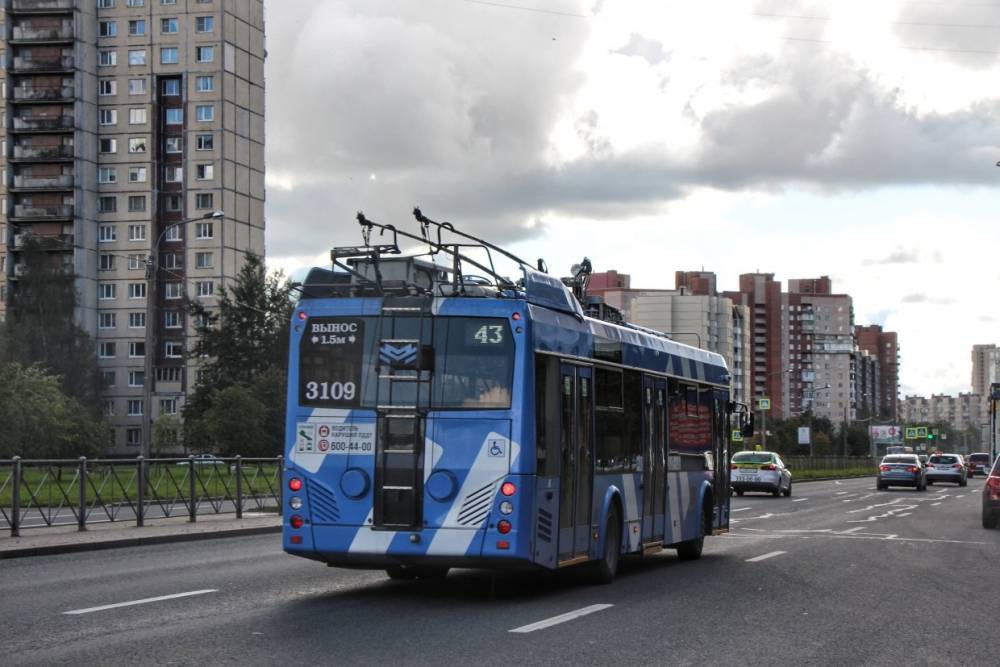 Псковичам рассказали, будут ли в городе троллейбусы