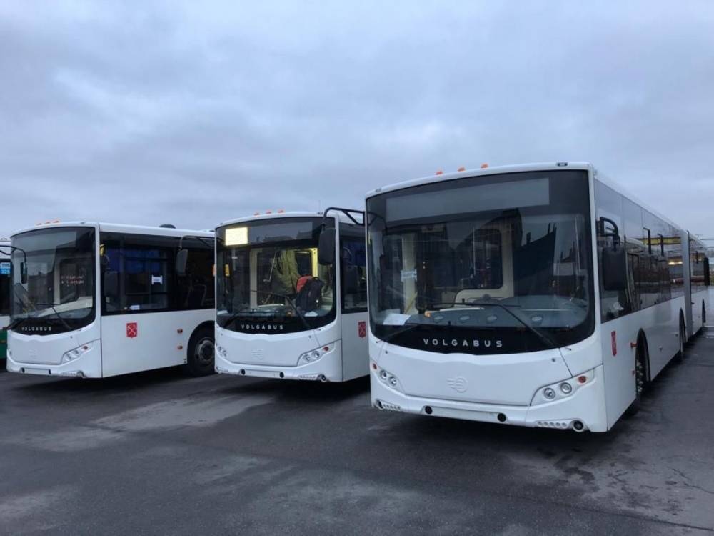 На чемпионате Европы в Петербурге будет работать 200 новых автобусов
