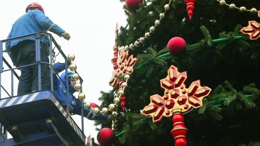 Кемеровские чиновники потратили на новогоднюю ель 18 миллионов рублей