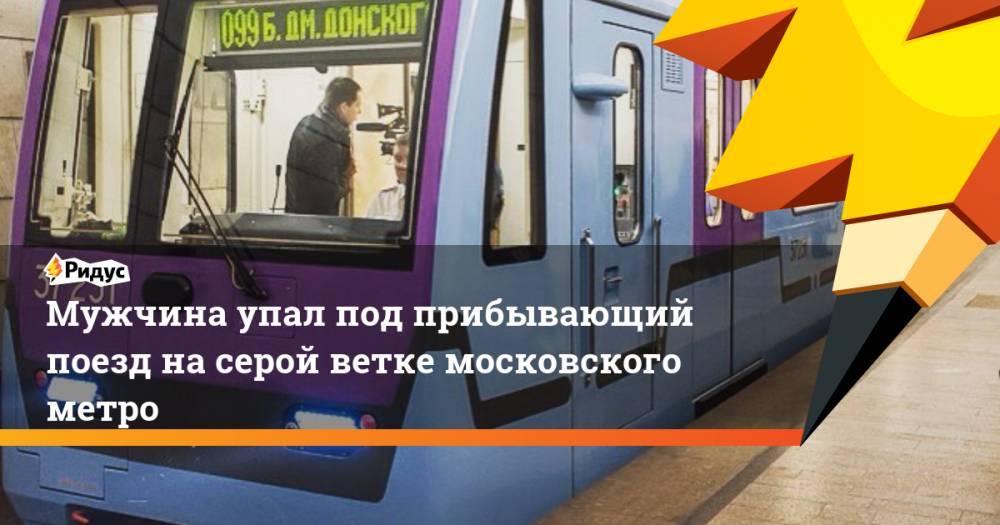 Мужчина упал под прибывающий поезд на серой ветке московского метро