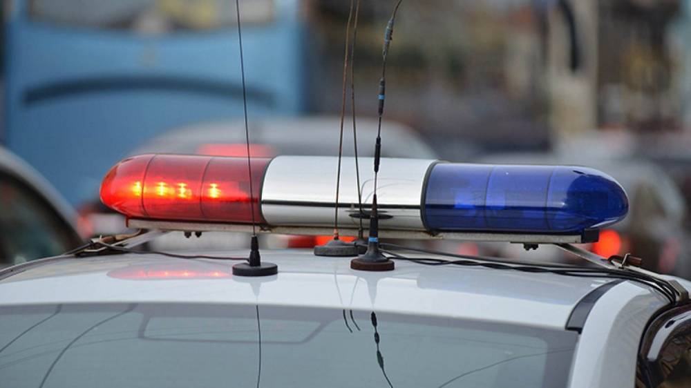 Полиция ищет водителя, сбившего 11-летнюю девочку во дворе дома на Юбилейной в Пскове