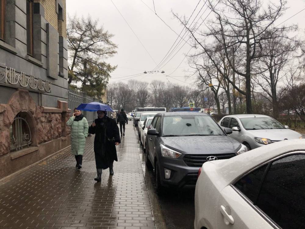 Петербург встретил среду облачной погодой с небольшим снегом