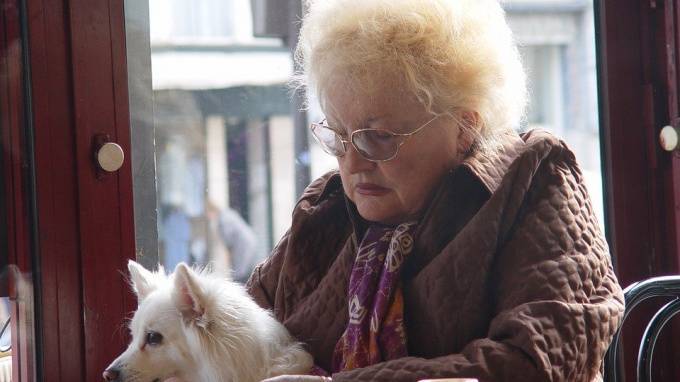 Депутаты Петербурга предложили разработать правила посещения кафе для людей с животными