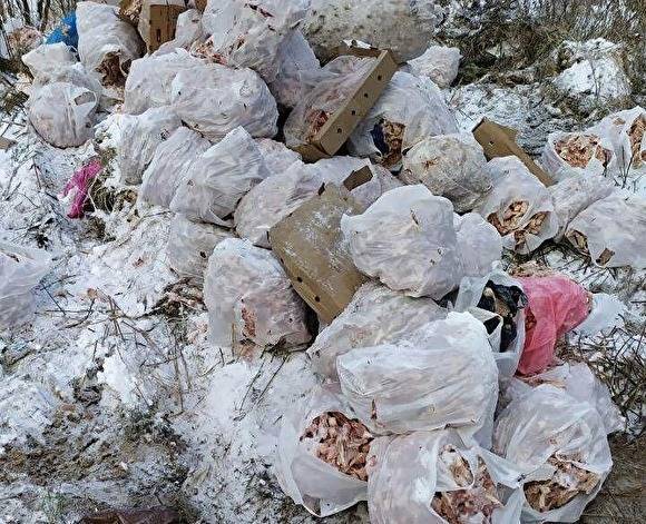 Власти Тюменского района нашли человека, свалившего куриные отходы рядом с деревней