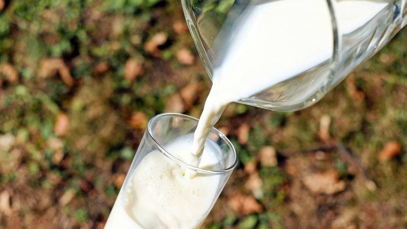 Глава Минсельхоза Украины усомнился в пользе молока