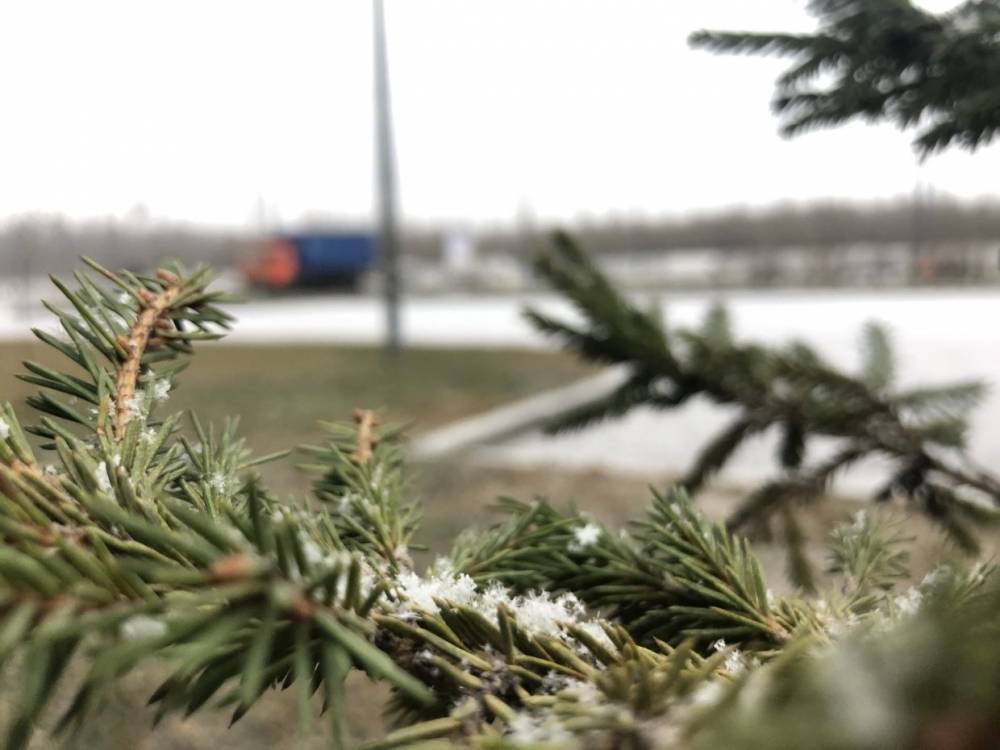 28 ноября петербуржцев ожидает небольшой дождь с мокрым снегом