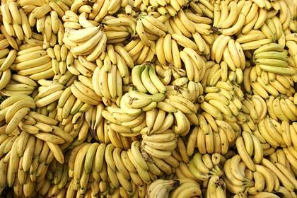 В Россию завезли опасные для жизни бананы