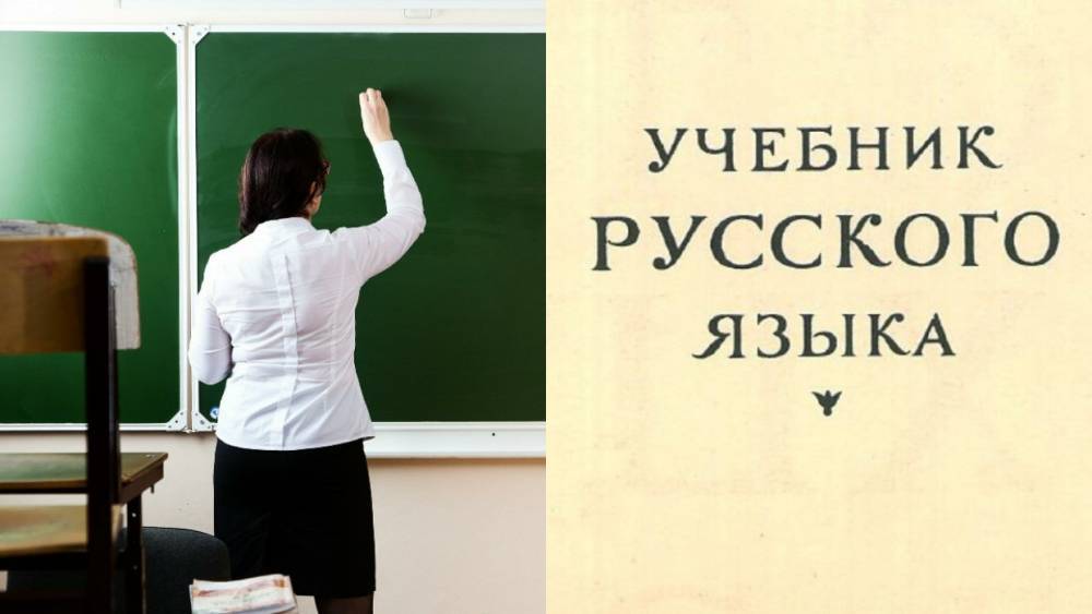 Мигрантов и иностранных студентов в Петербурге бесплатно обучат русскому языку