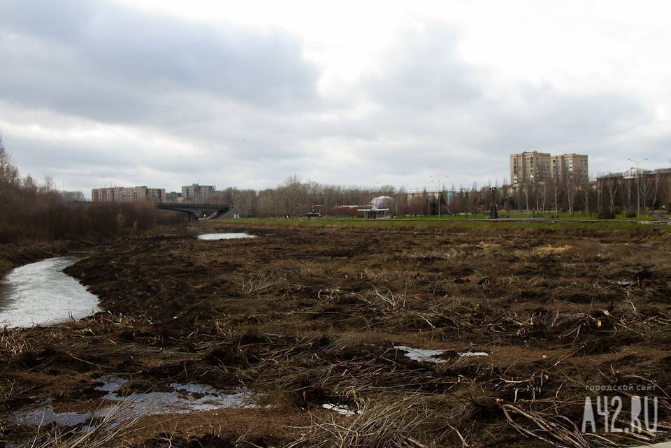 Власти рассказали о проекте парковой зоны на реке Искитимке в Кемерове