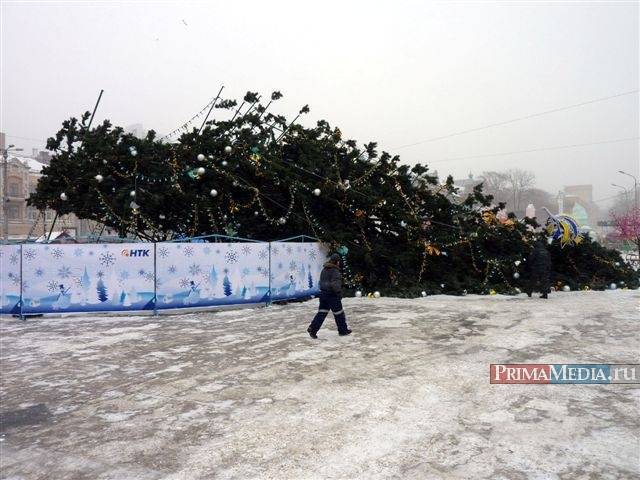 Другие и подороже берут: мэр Кемерово объяснил покупку новогодней ели за 18 млн