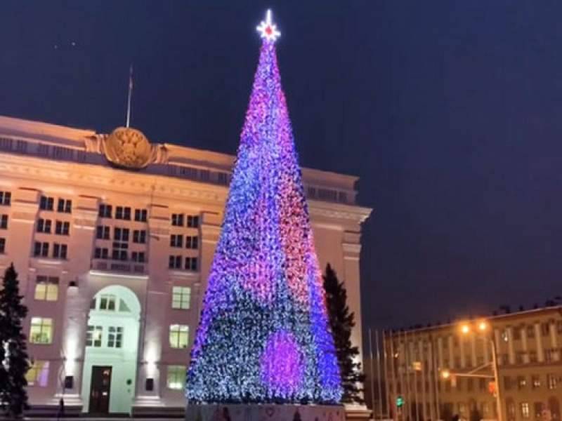 Мэр Кемерово объяснил покупку дорогой новогодней елки за 18 млн