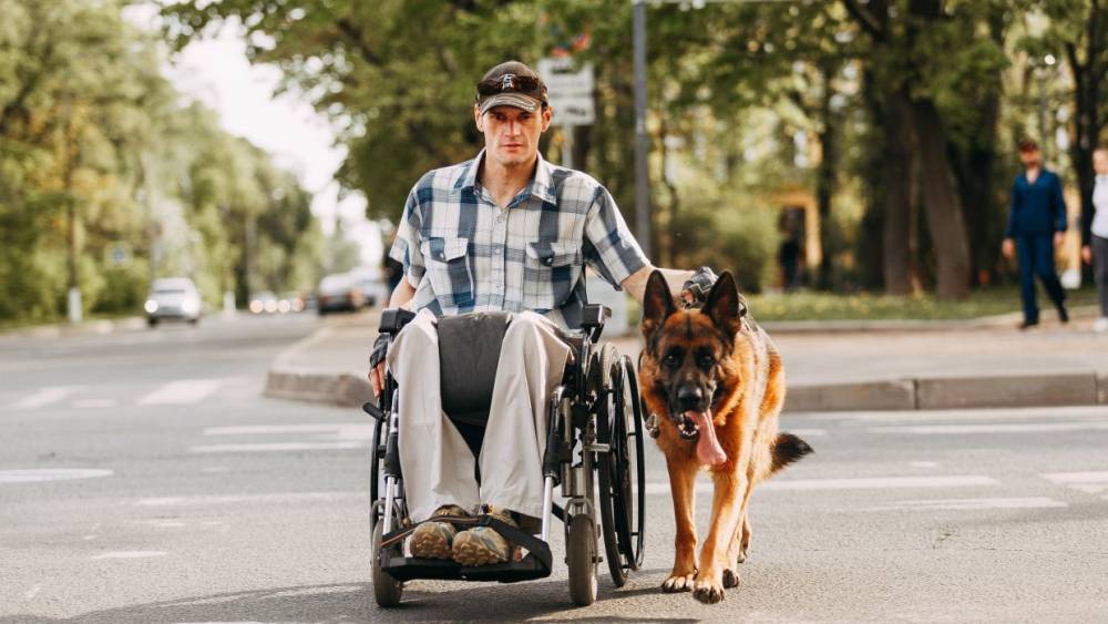 Петербуржец создает уникальный центр подготовки собак-помощников для инвалидов