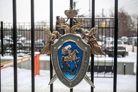 Силовики будут добиваться экстрадиции из Белоруссии мамы ребенка, убитого в Екатеринбурге