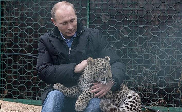 Календарь на 2020 год с Владимиром Путиным: маленький леопард и снайперская винтовка (Хуаньцю шибао, Китай)