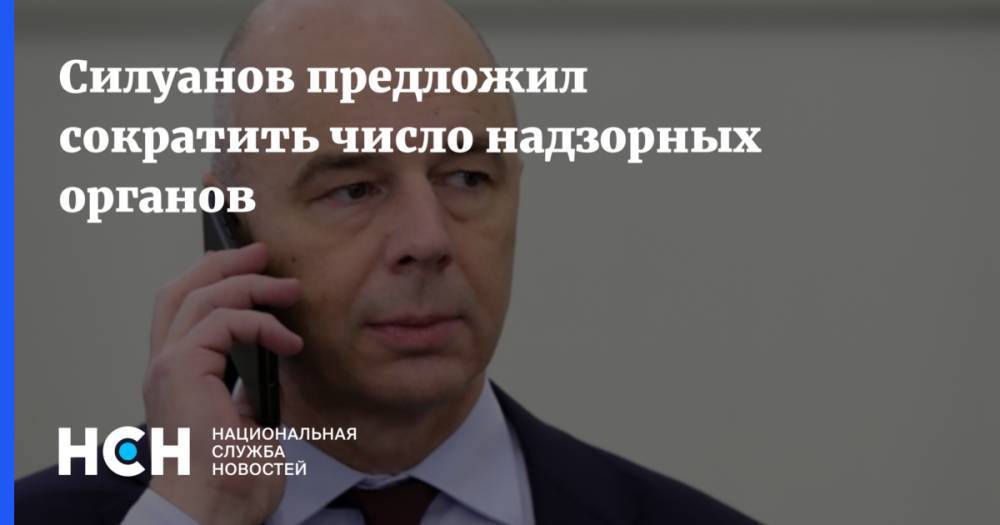 Силуанов предложил сократить число надзорных органов