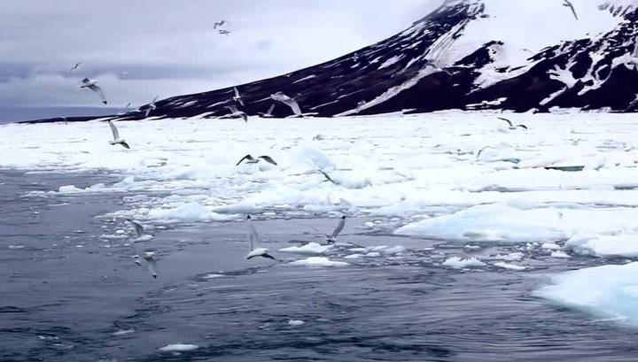 В Арктике начинает работать новейший радар