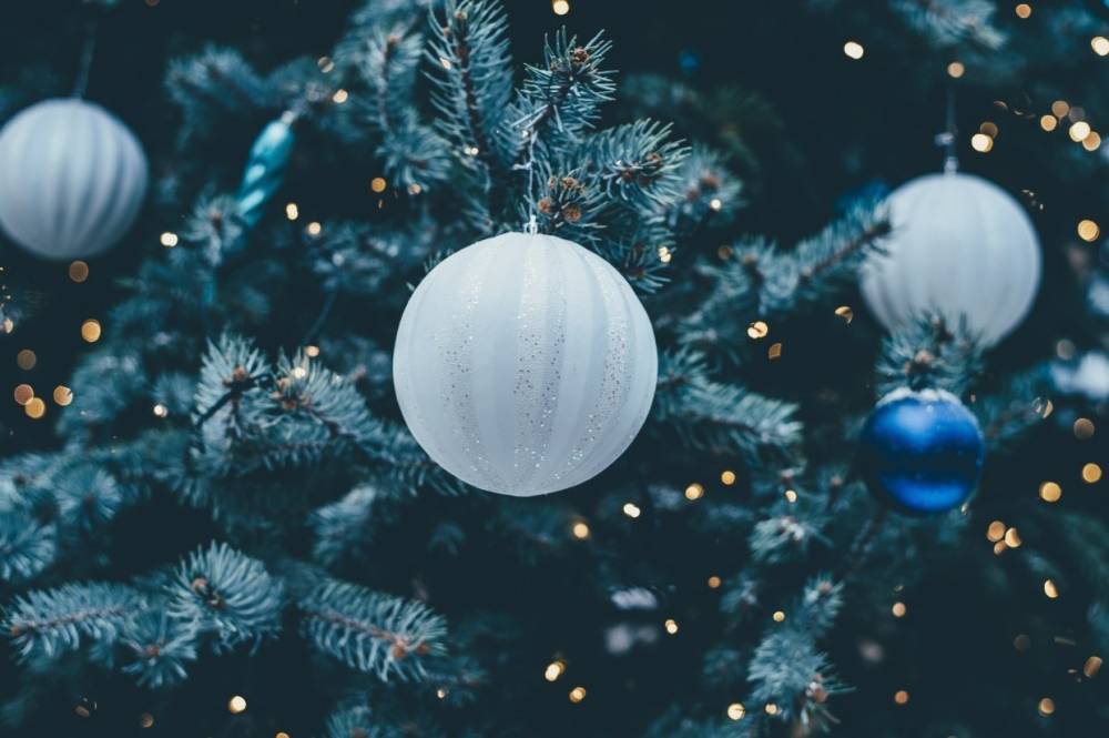 Для школьников всего региона в Мурманске проведут семь новогодних елок