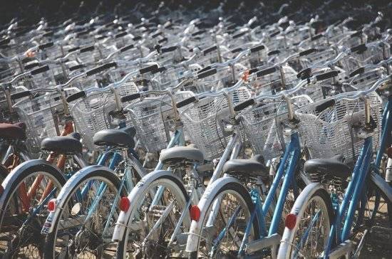 В Подмосковье появится общественный велопрокат
